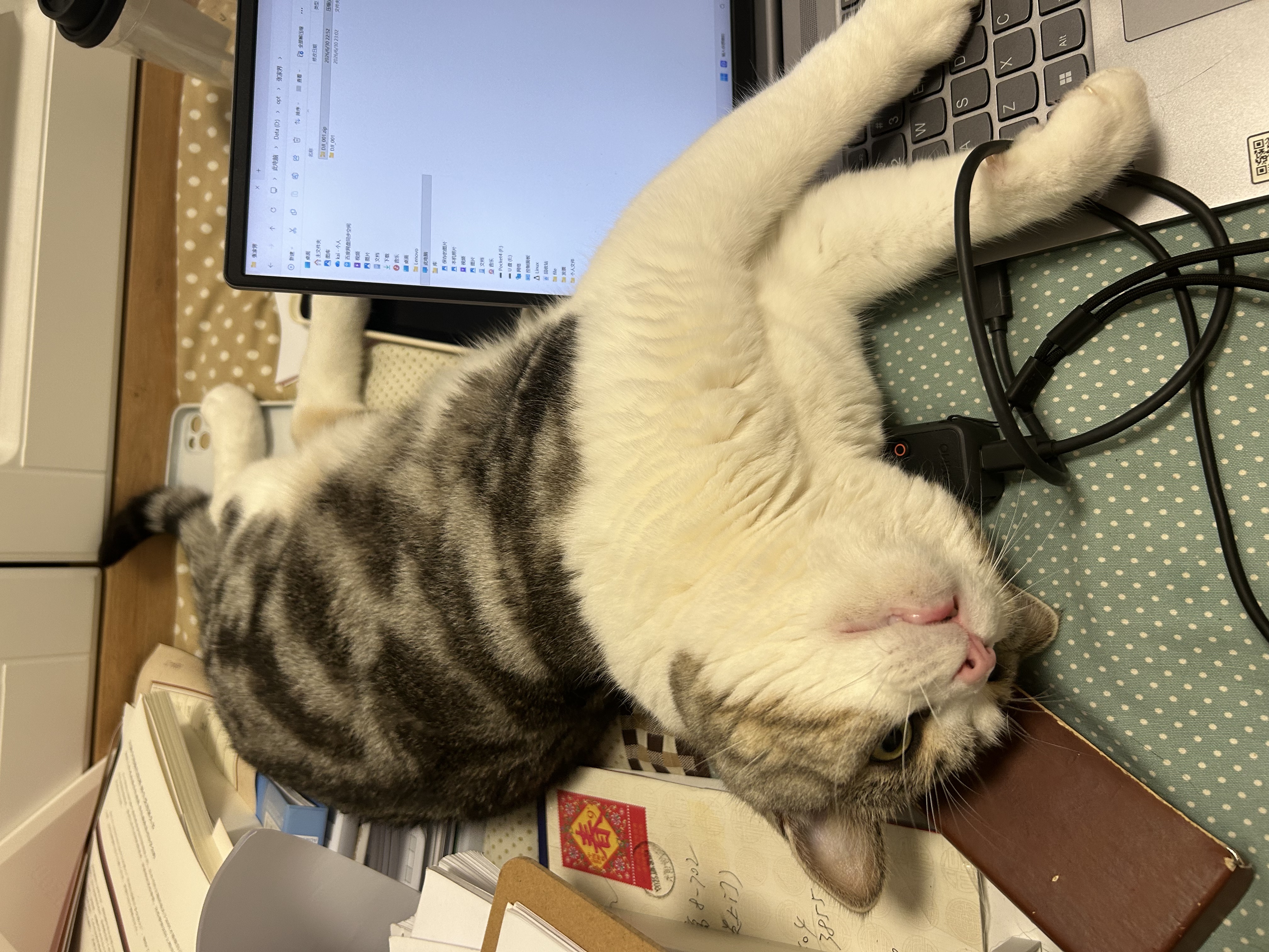 睡成一团