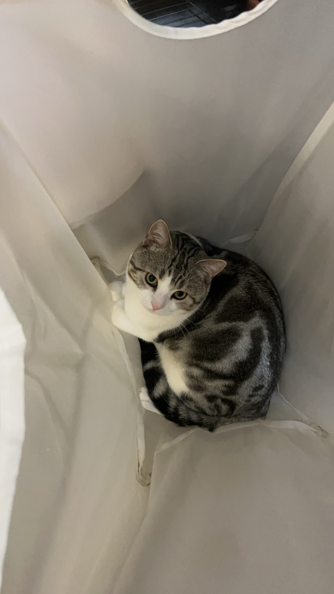 新照片